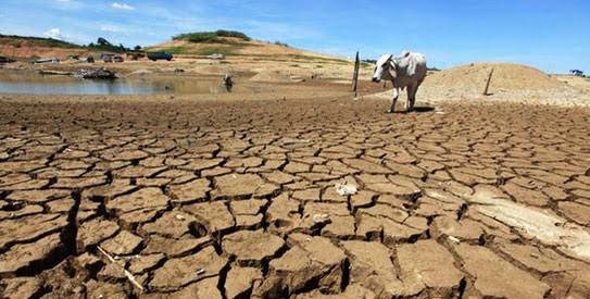 ECOWAS must adopt common disaster-preparedness laws &ndash; Sierra Leone Minority Leader